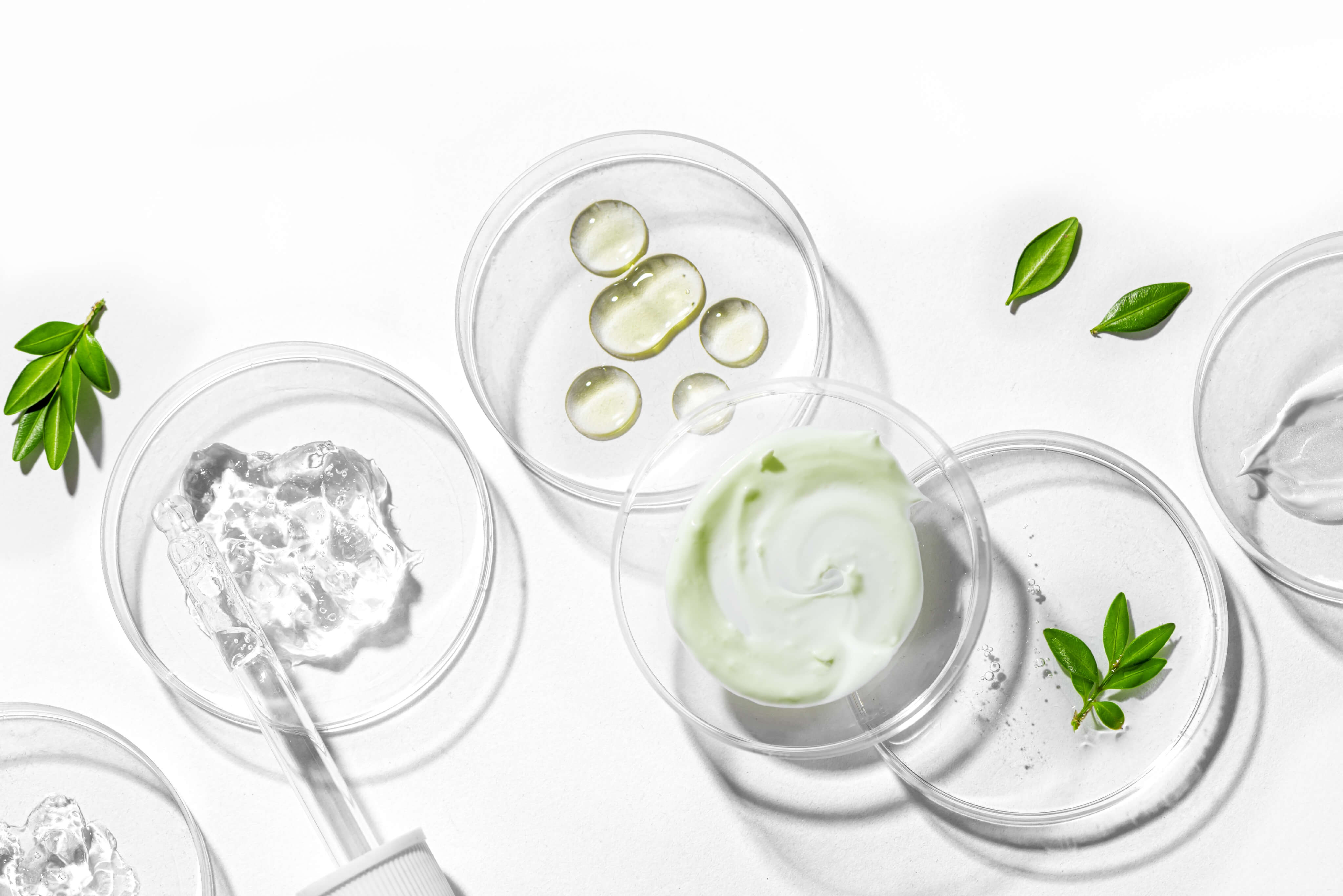 Rooted in Ritual: How We Honor the Ingredients We Use