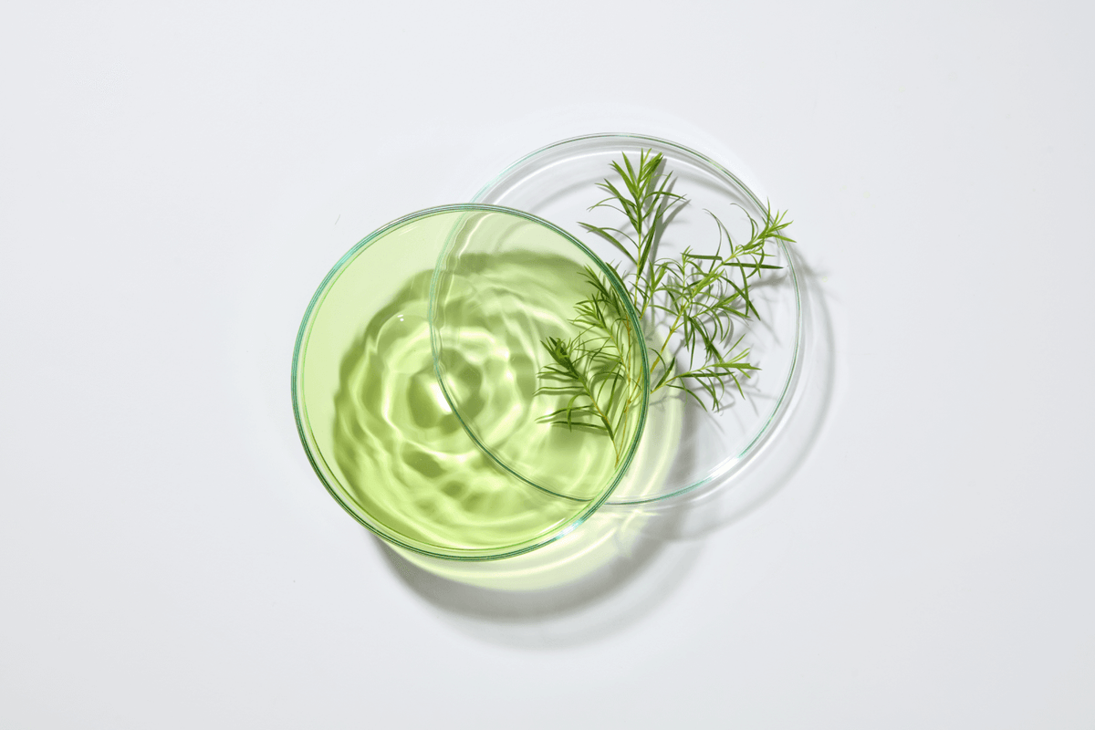 Glass with green liquid and herbs on a white background